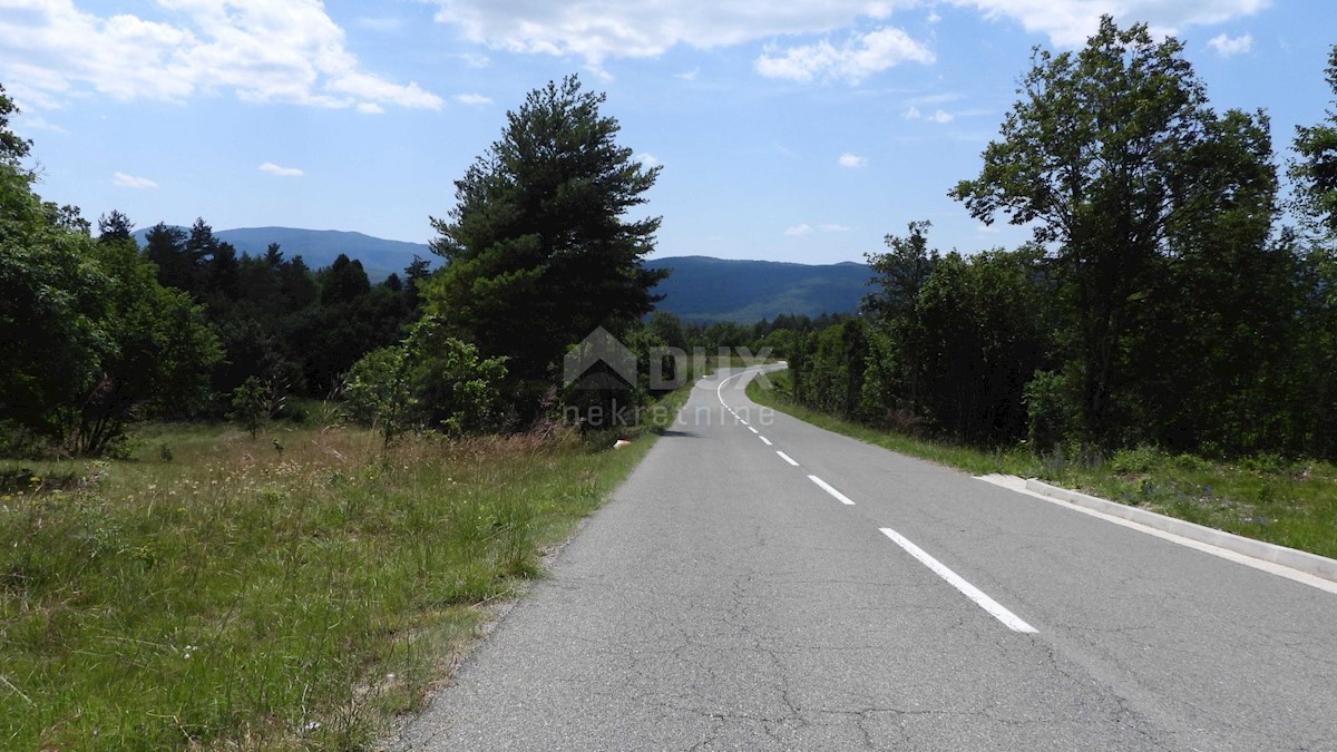 MATULJI, RUPA, LIPA - terreno edificabile di 5021m2 per un corridoio