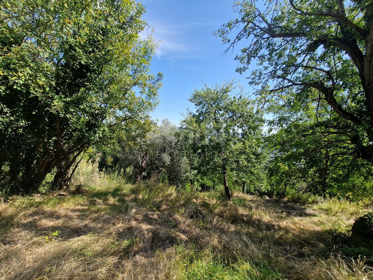 ISTRIA, OPRTALJ - Antica casa in pietra con vista panoramica sul verde