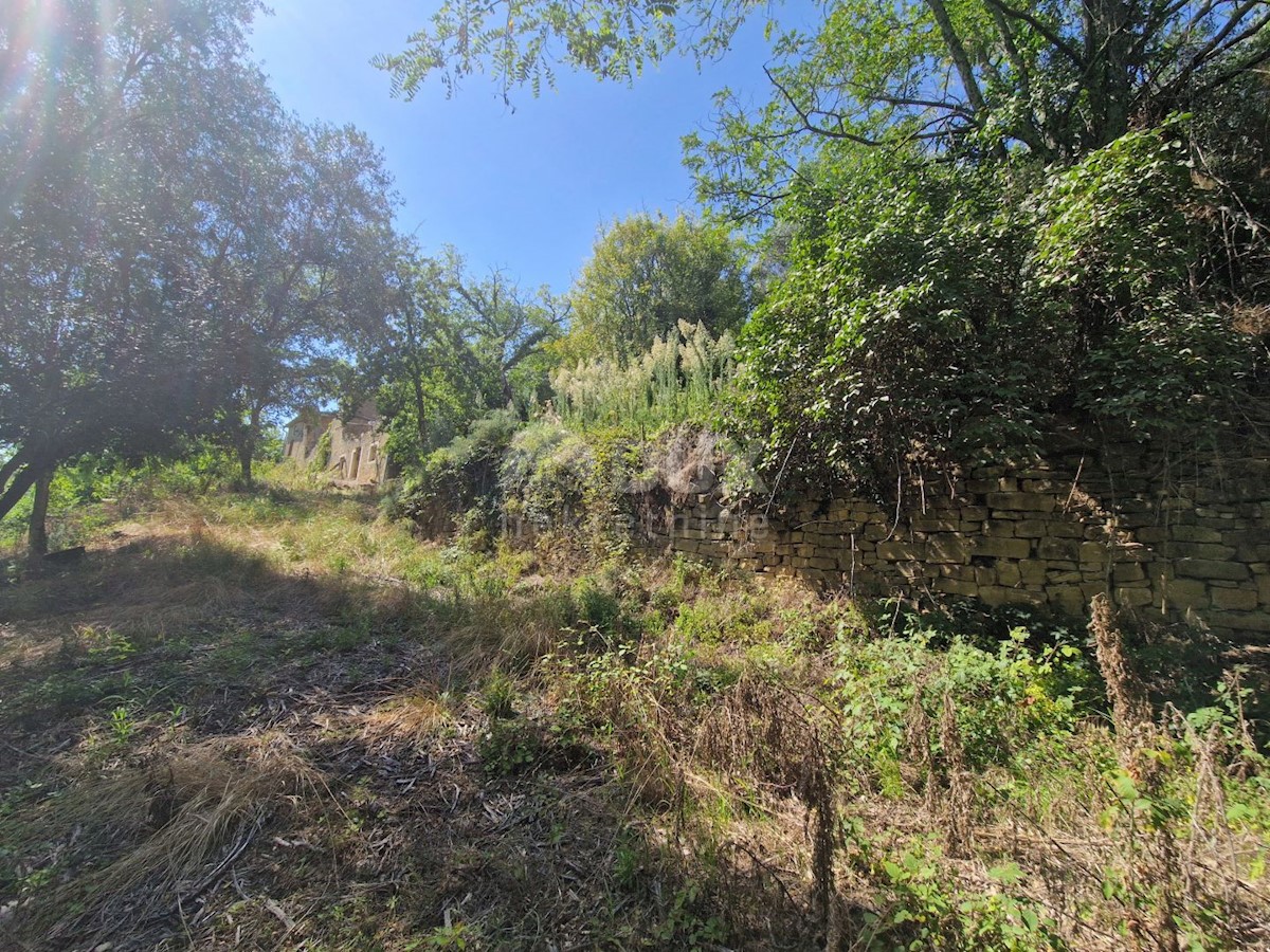ISTRIA, OPRTALJ - Antica casa in pietra con vista panoramica sul verde