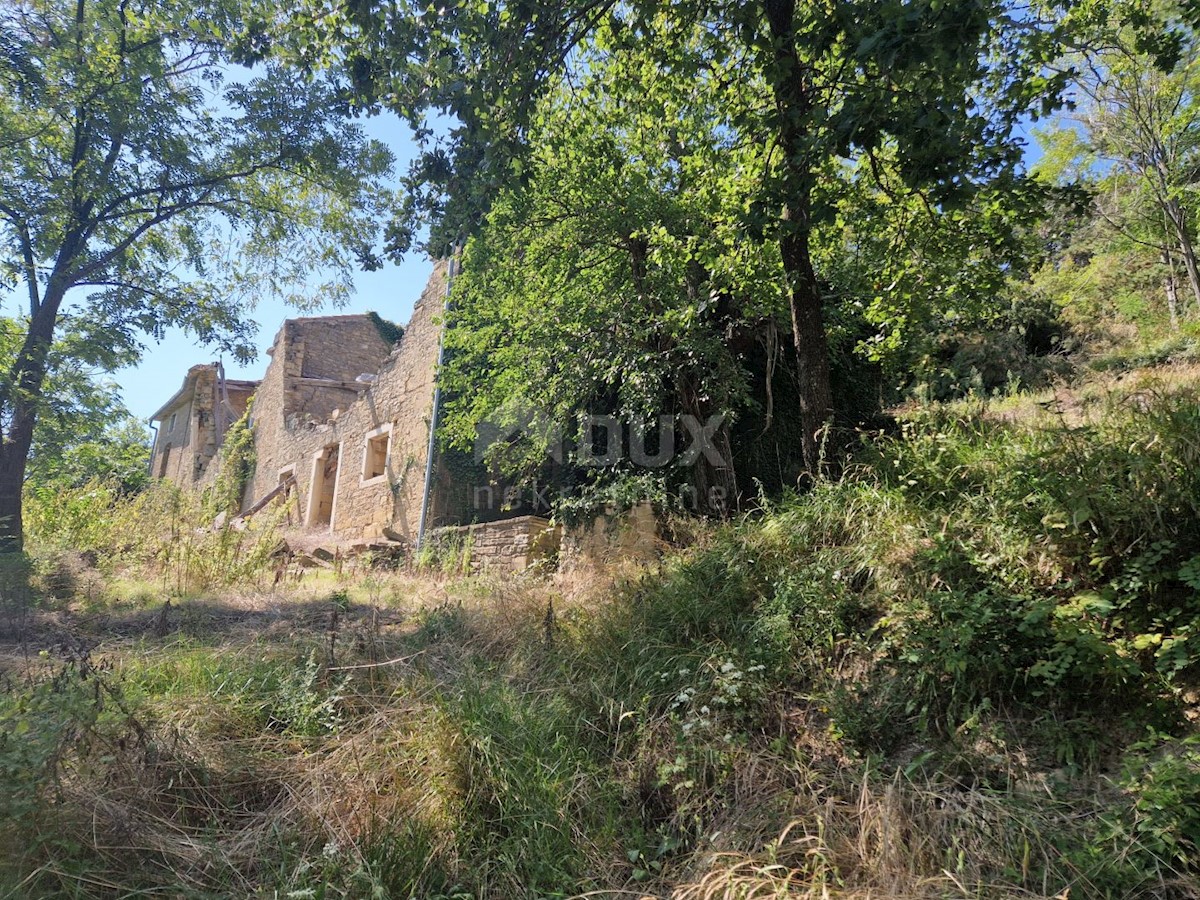 ISTRIA, OPRTALJ - Antica casa in pietra con vista panoramica sul verde