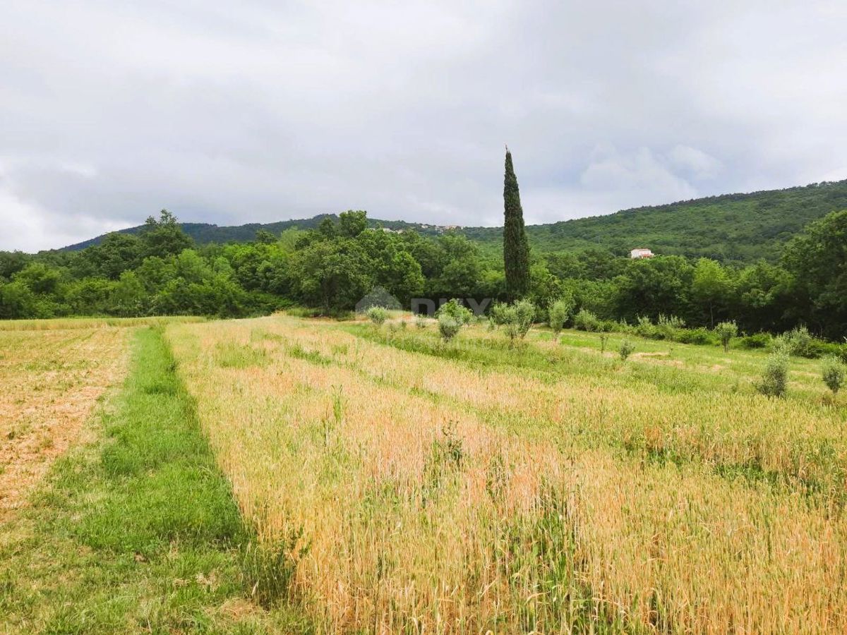 Terreno Ripenda Kras, Labin, 13.688m2