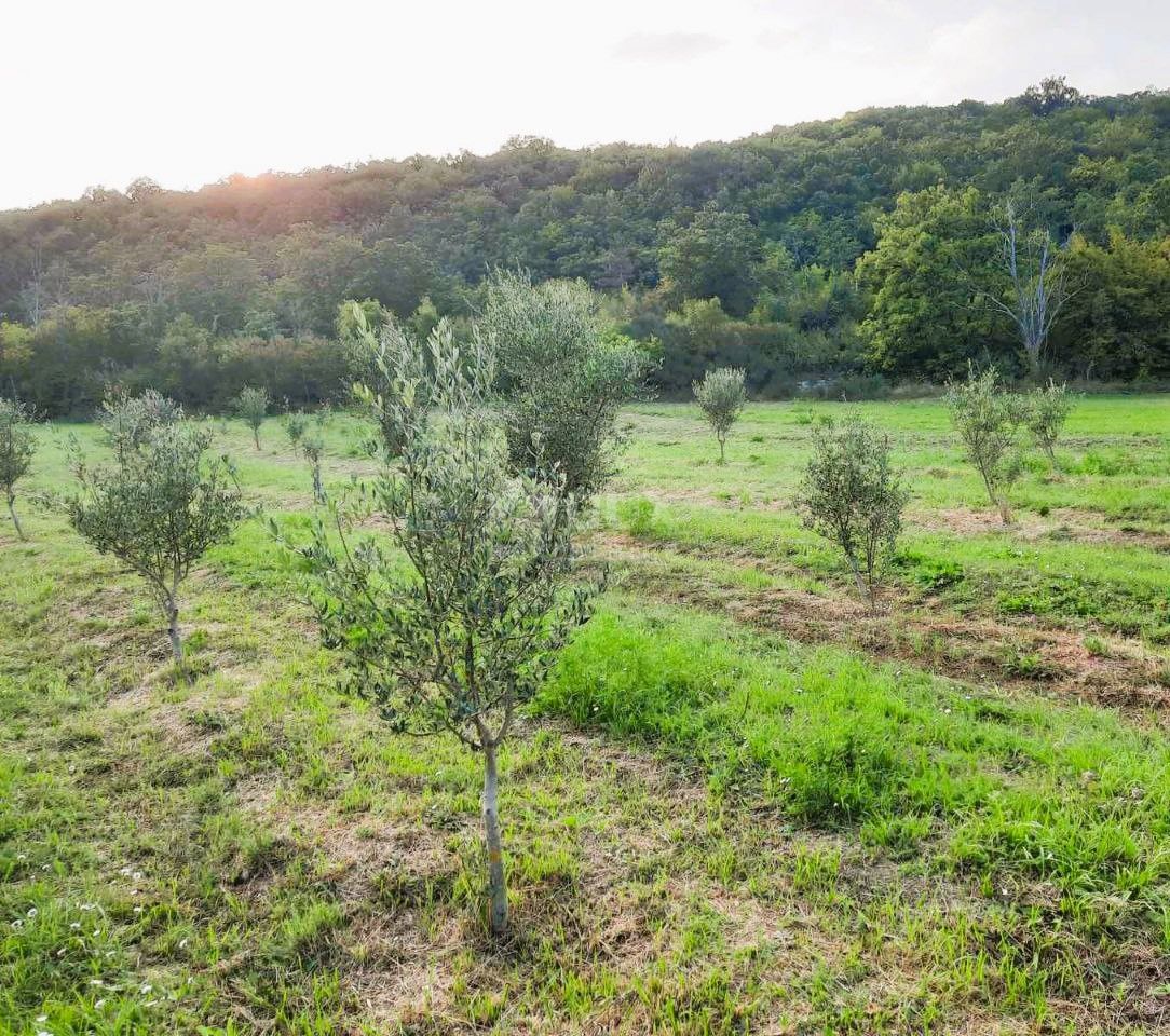 Terreno Ripenda Kras, Labin, 13.688m2