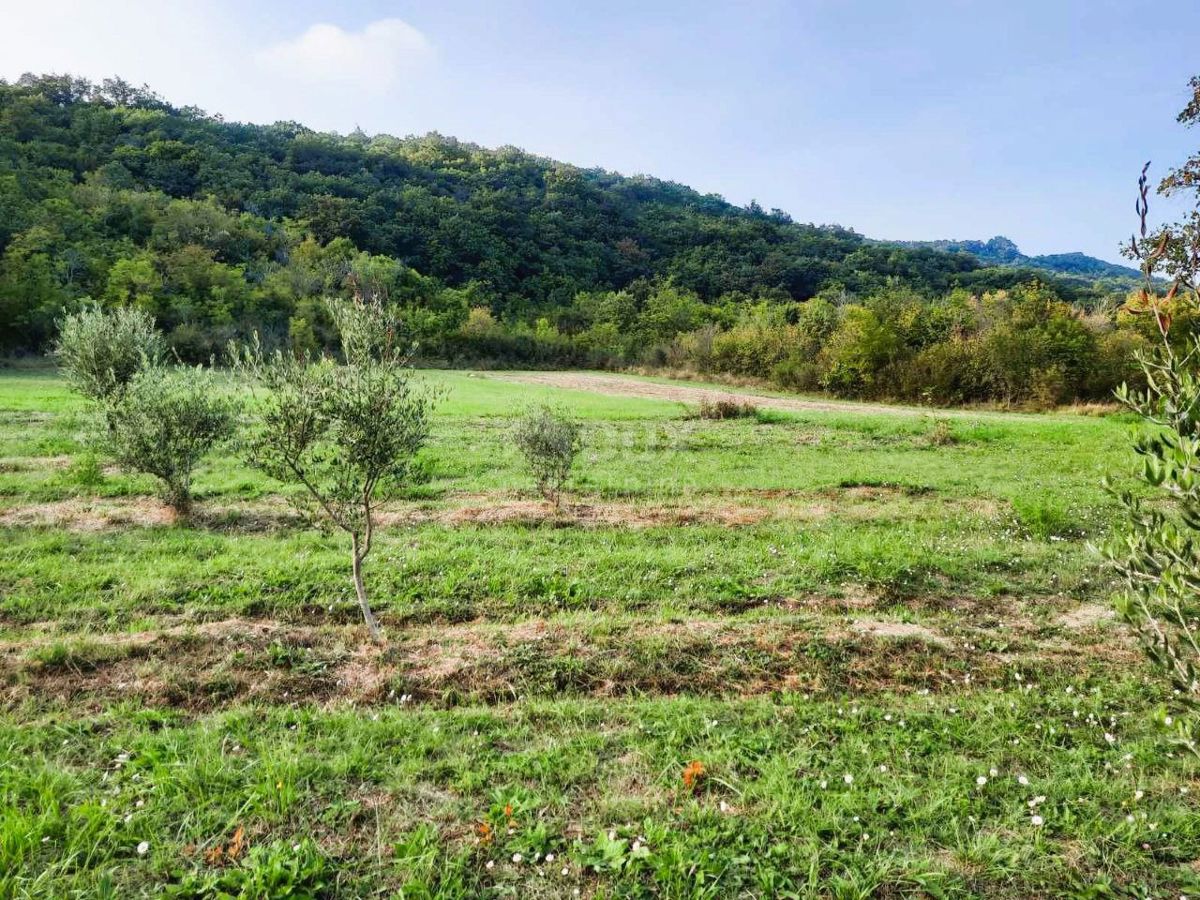 Terreno Ripenda Kras, Labin, 13.688m2
