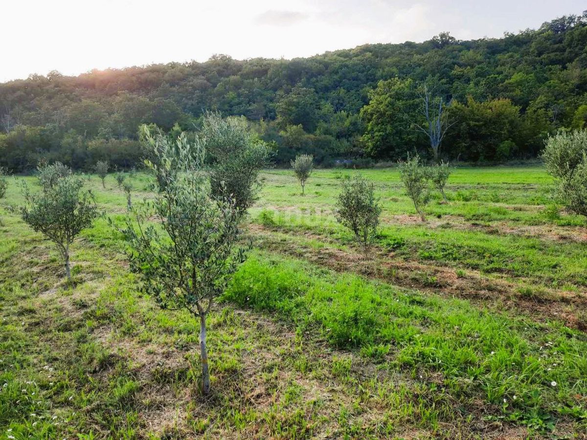Terreno Ripenda Kras, Labin, 13.688m2