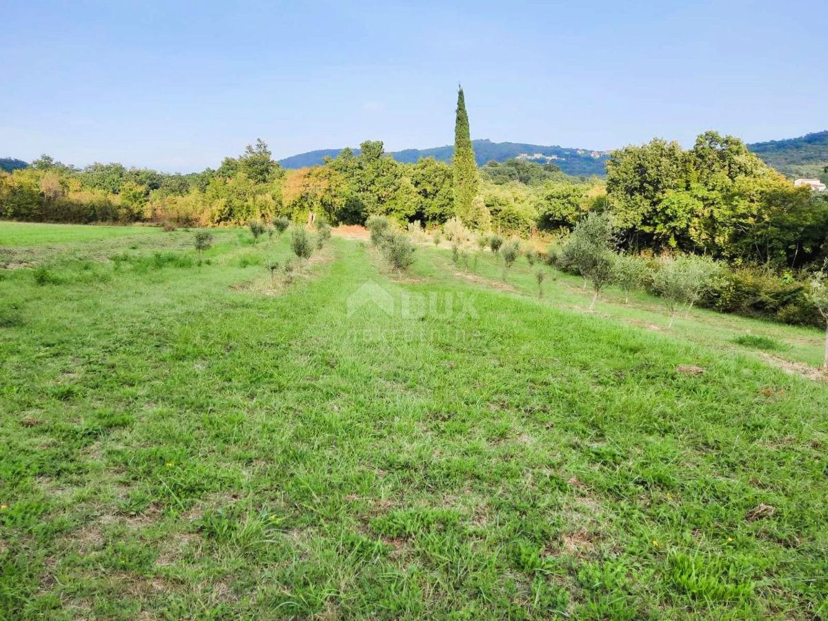 Terreno Ripenda Kras, Labin, 13.688m2