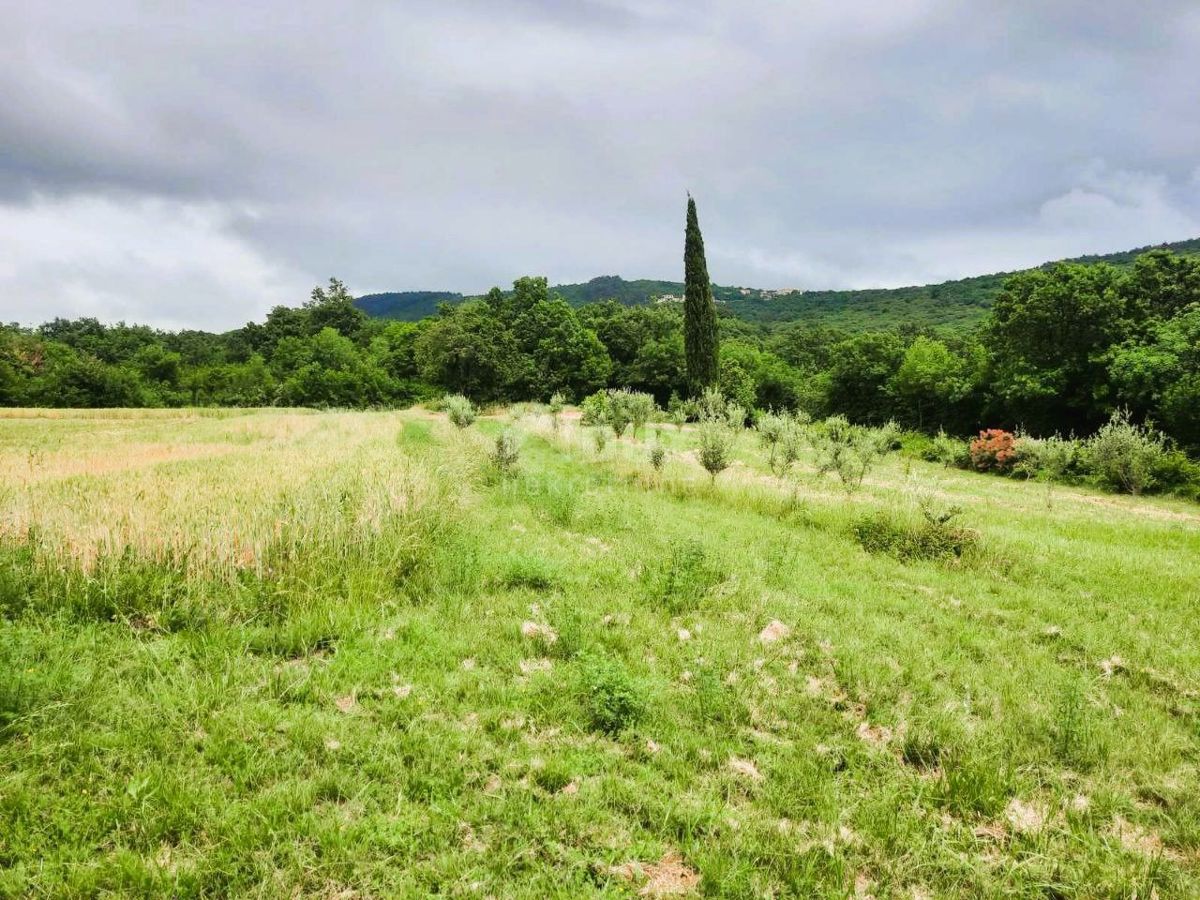 Terreno Ripenda Kras, Labin, 13.688m2