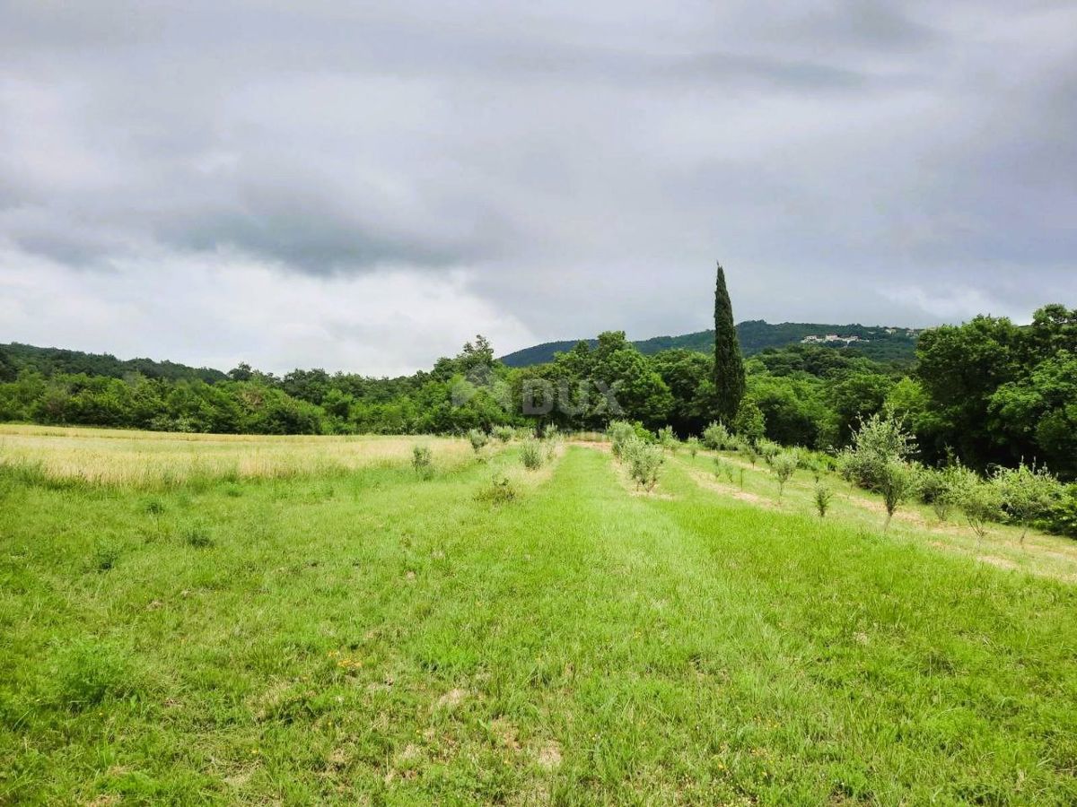 Terreno Ripenda Kras, Labin, 13.688m2