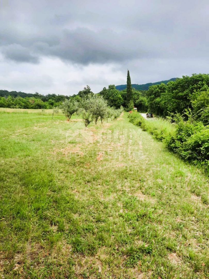 Terreno Ripenda Kras, Labin, 13.688m2