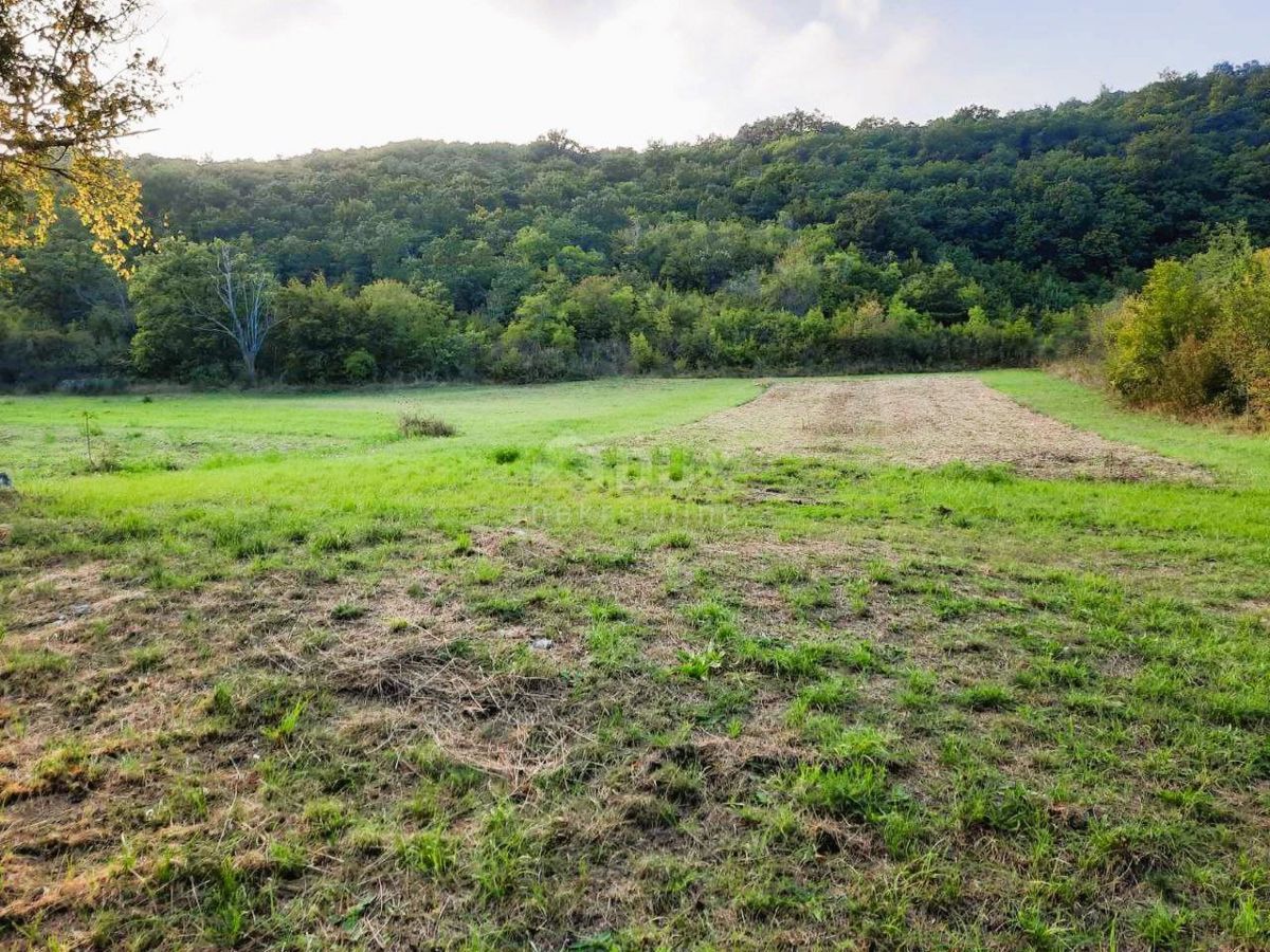 Terreno Ripenda Kras, Labin, 13.688m2
