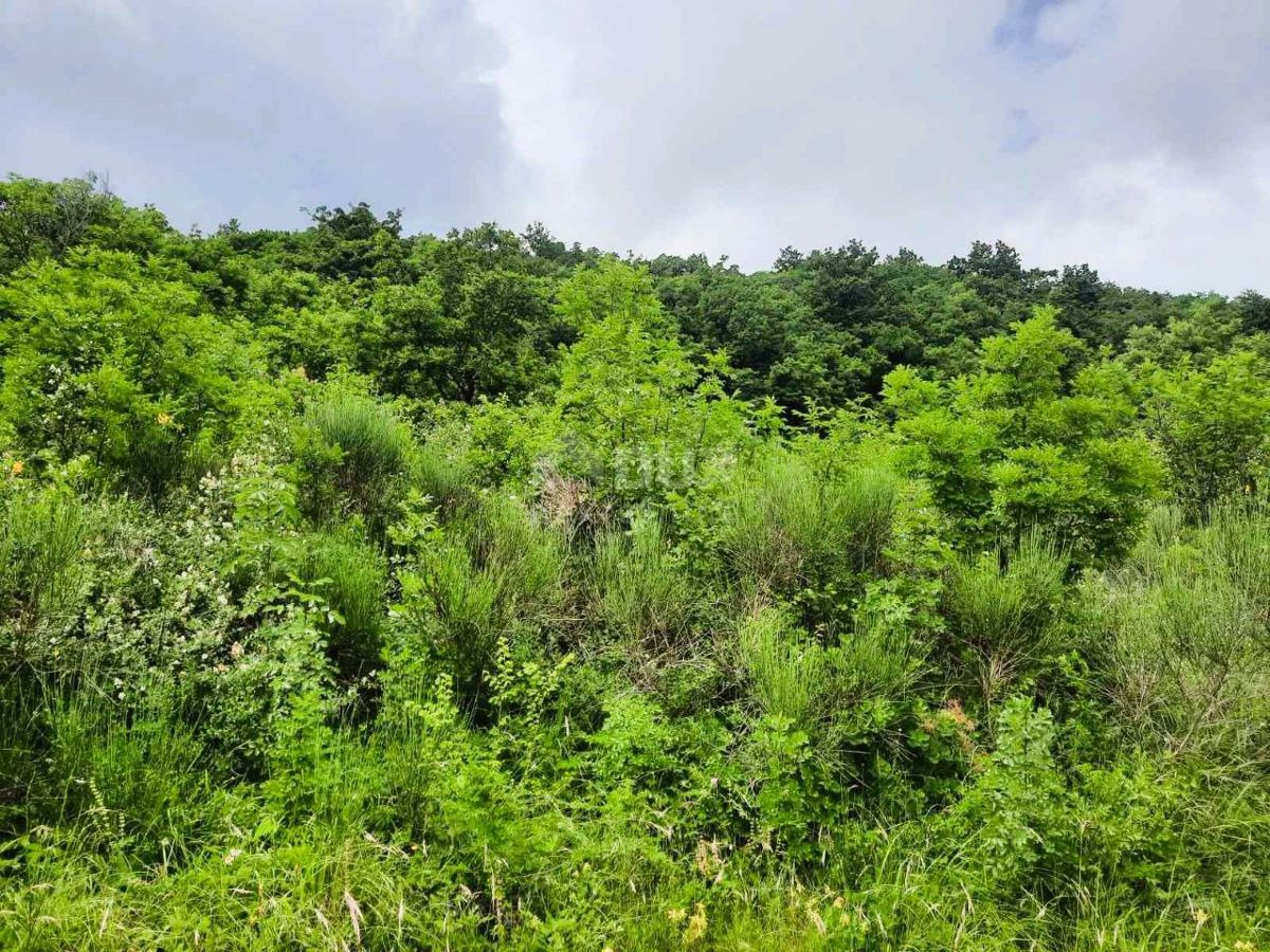 Terreno Ripenda Kras, Labin, 13.688m2