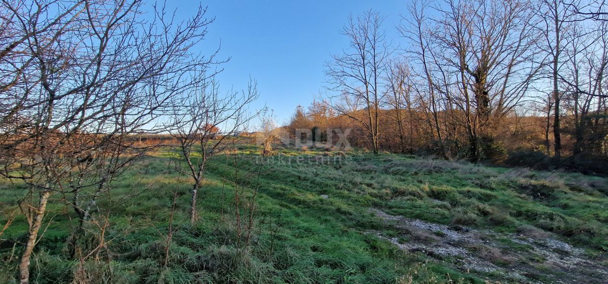 ISTRIA, PAZIN - Casa con ampio terreno ad uso sportivo, edile e agricolo con vista panoramica