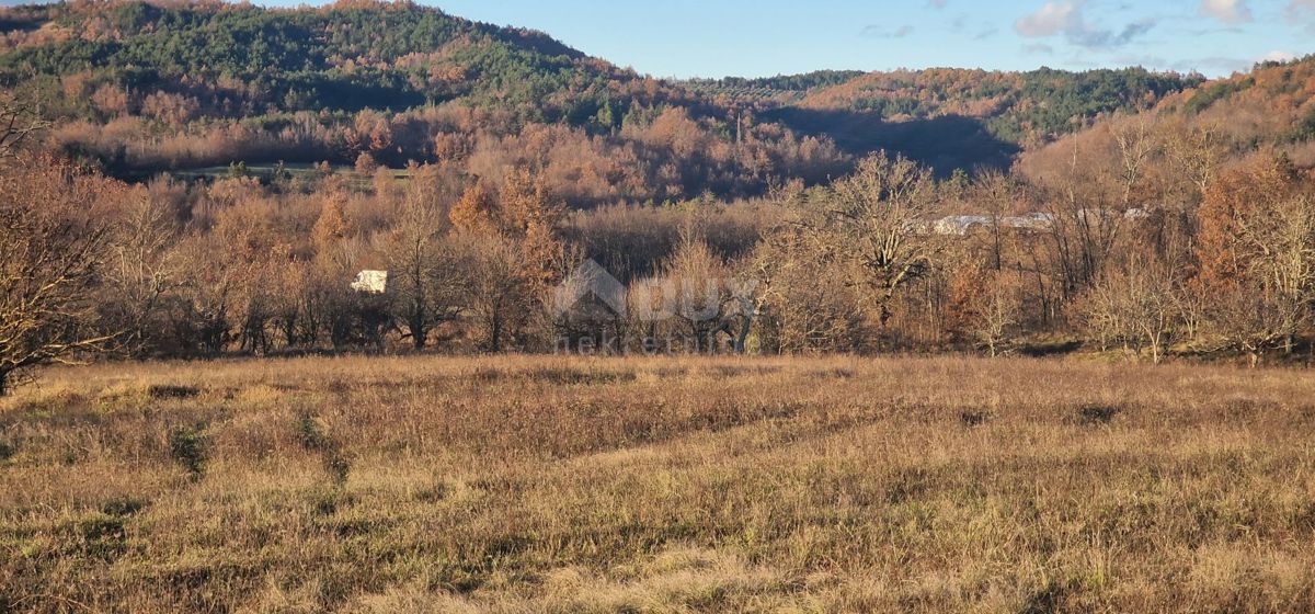 ISTRIA, PAZIN - Casa con ampio terreno ad uso sportivo, edile e agricolo con vista panoramica