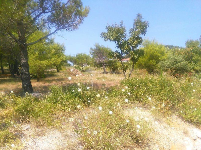 RAB, BARBAT - terreno edificabile 1426m2 con vista sul mare per un edificio residenziale - appartamenti - appartamenti / casa bifamiliare / casa in affitto - vacanze con piscina