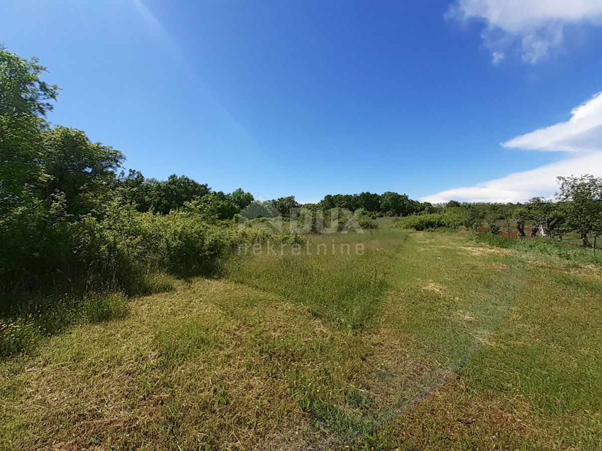 Terreno Režanci, Svetvinčenat, 5.600m2