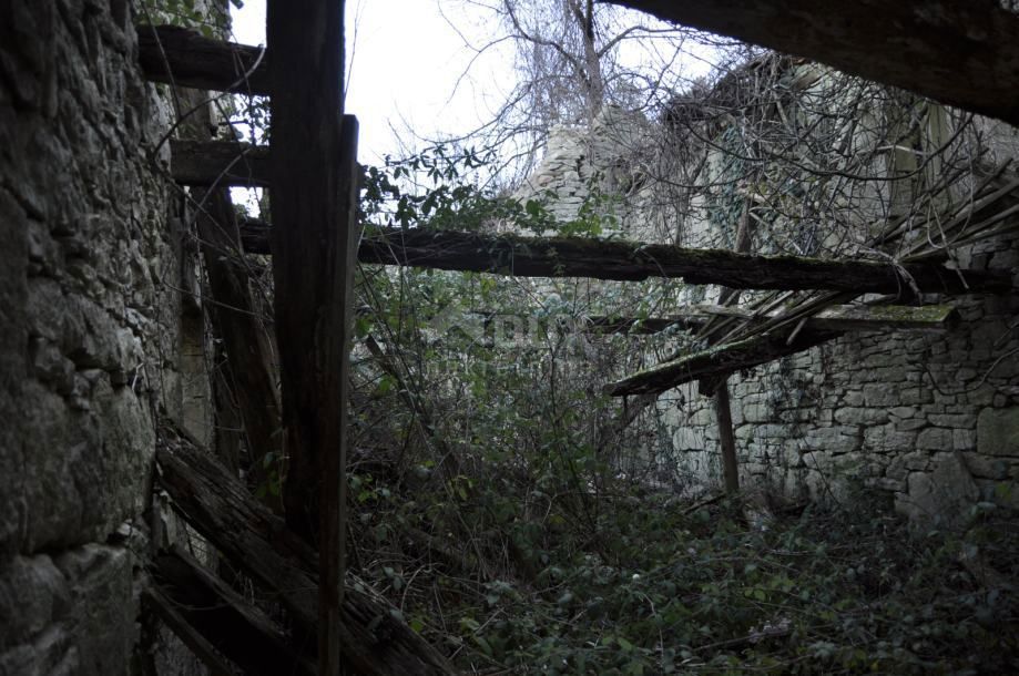 ISTRA BUZET Ampio terreno agricolo ed edificabile
