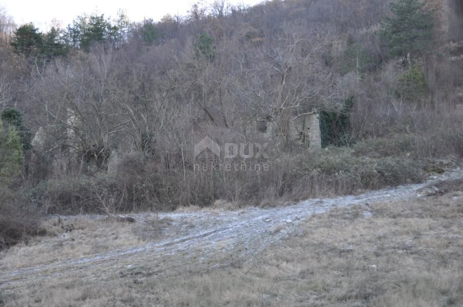ISTRA BUZET Ampio terreno agricolo ed edificabile