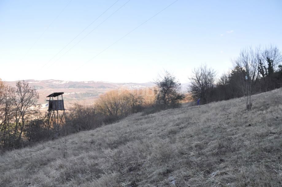 ISTRA BUZET Ampio terreno agricolo ed edificabile