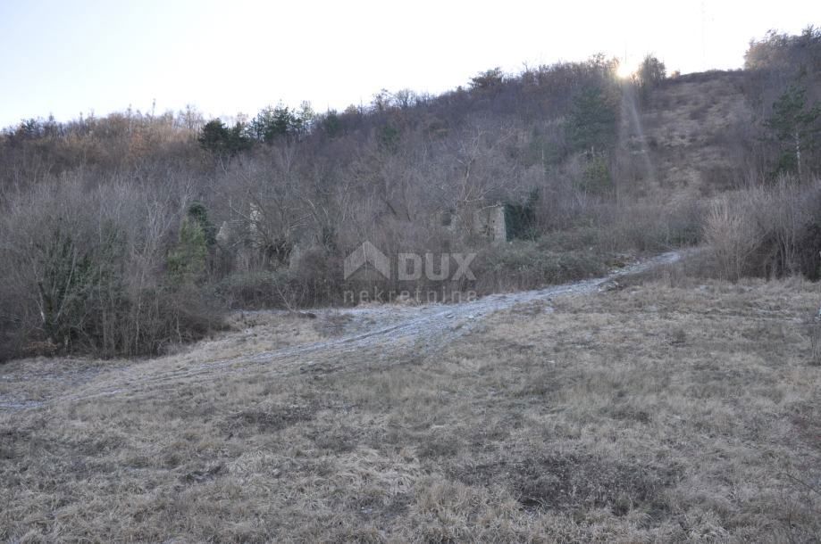 ISTRA BUZET Ampio terreno agricolo ed edificabile