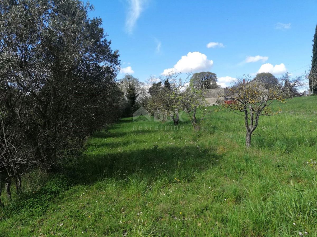 ISTRIA, ŽMINJ Terreno edificabile in ottima posizione, 3200 m2