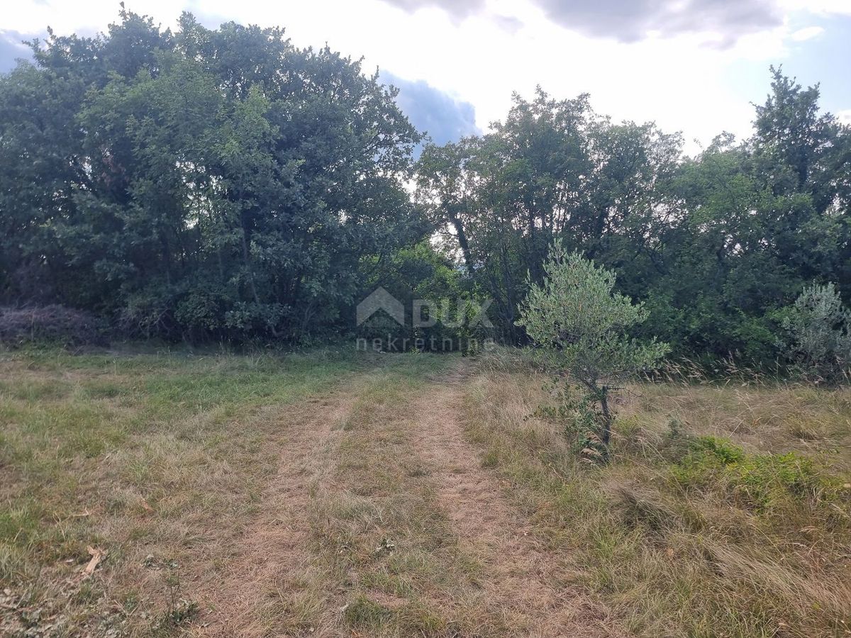 ISTRIA, LABIN - Ampio terreno abbinato in una posizione eccezionale