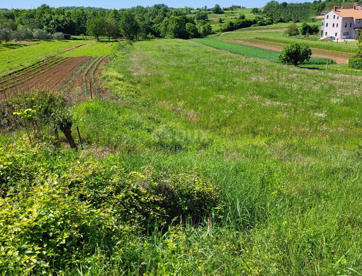 Terreno Gračišće, 1.637m2