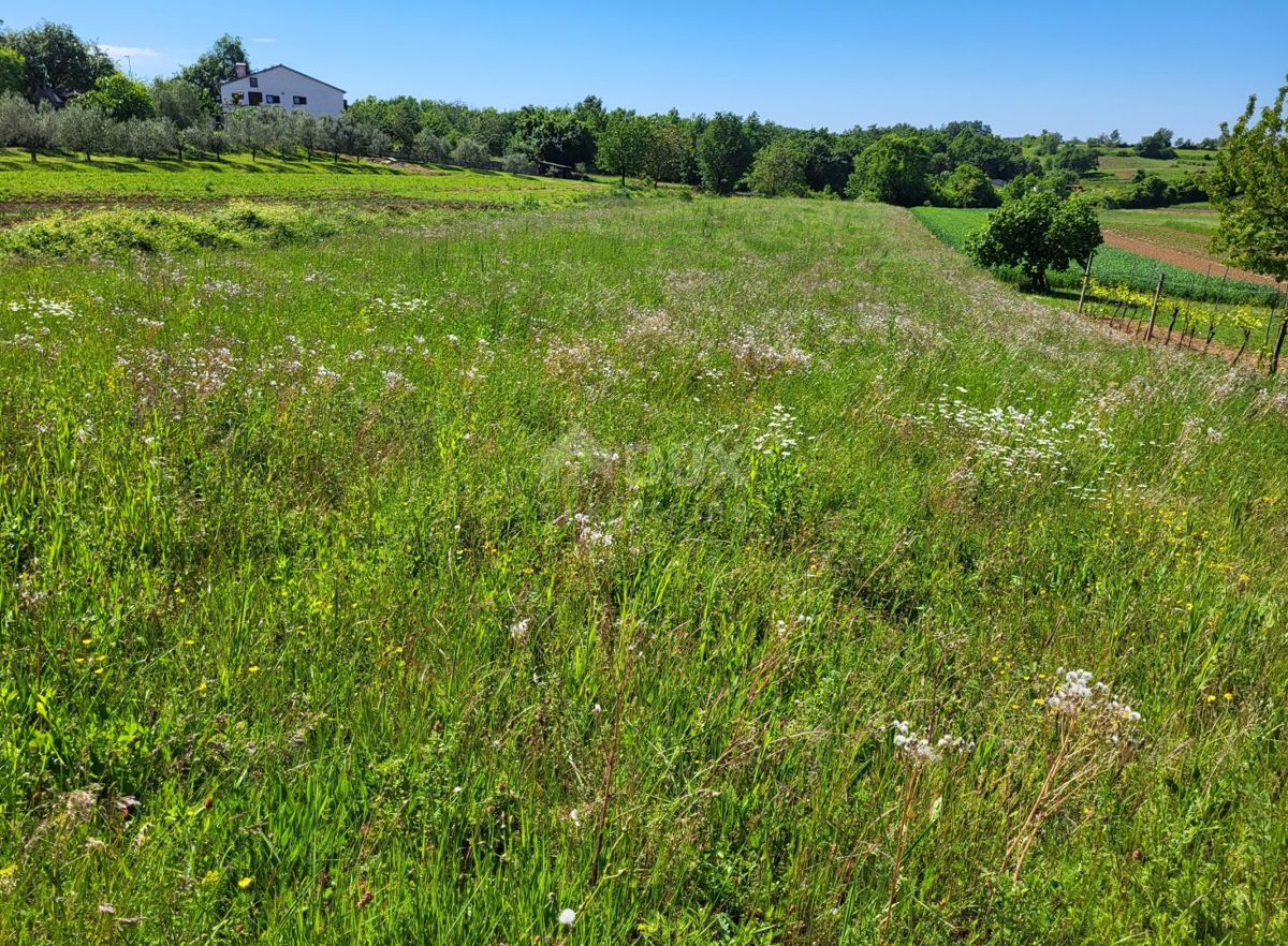 Terreno Gračišće, 1.637m2
