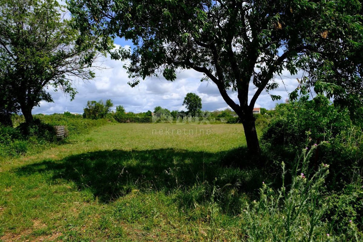 ZADAR, BENKOVAC - Terreno edificabile in un ambiente naturale 