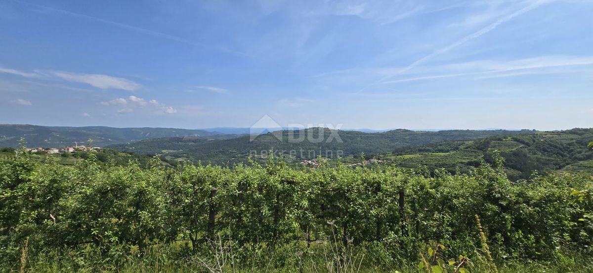 ISTRIA, MOTOVUN - Una terra magica con una vista panoramica mozzafiato! Osama!