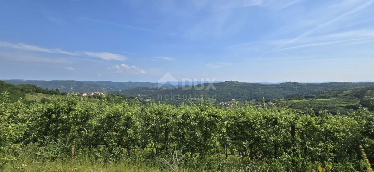 ISTRIA, MOTOVUN - Una terra magica con una vista panoramica mozzafiato! Osama!