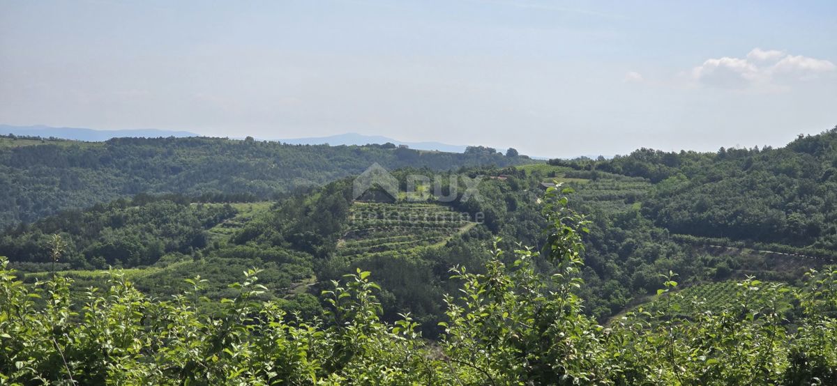 ISTRIA, MOTOVUN - Una terra magica con una vista panoramica mozzafiato! Osama!