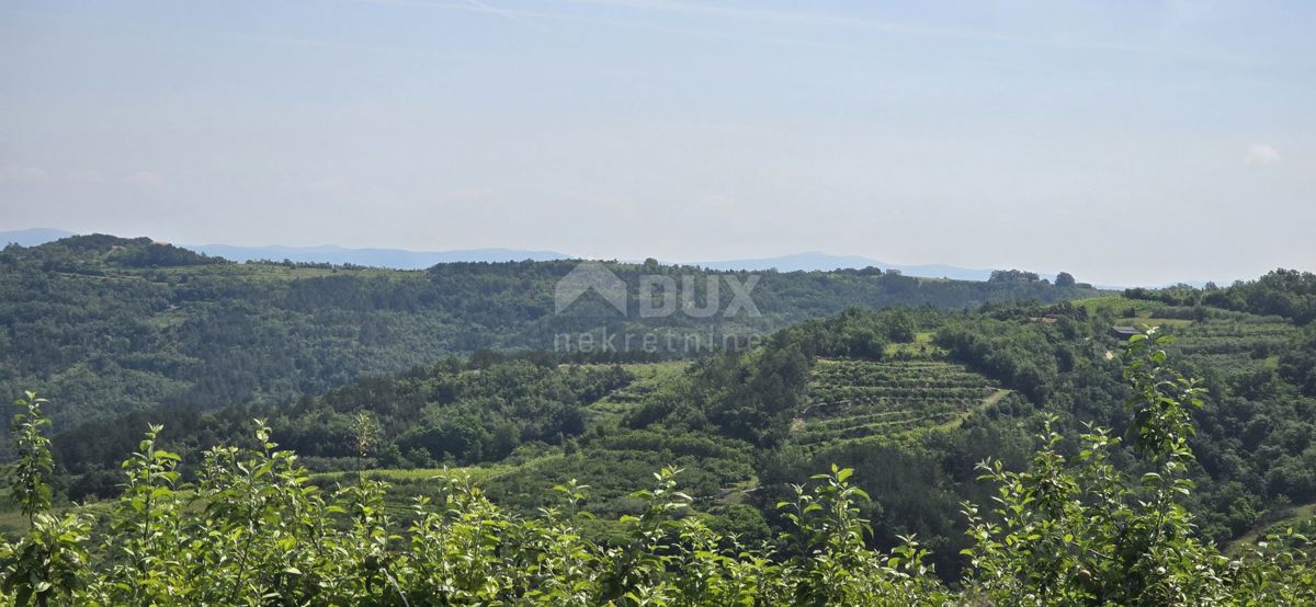 ISTRIA, MOTOVUN - Una terra magica con una vista panoramica mozzafiato! Osama!