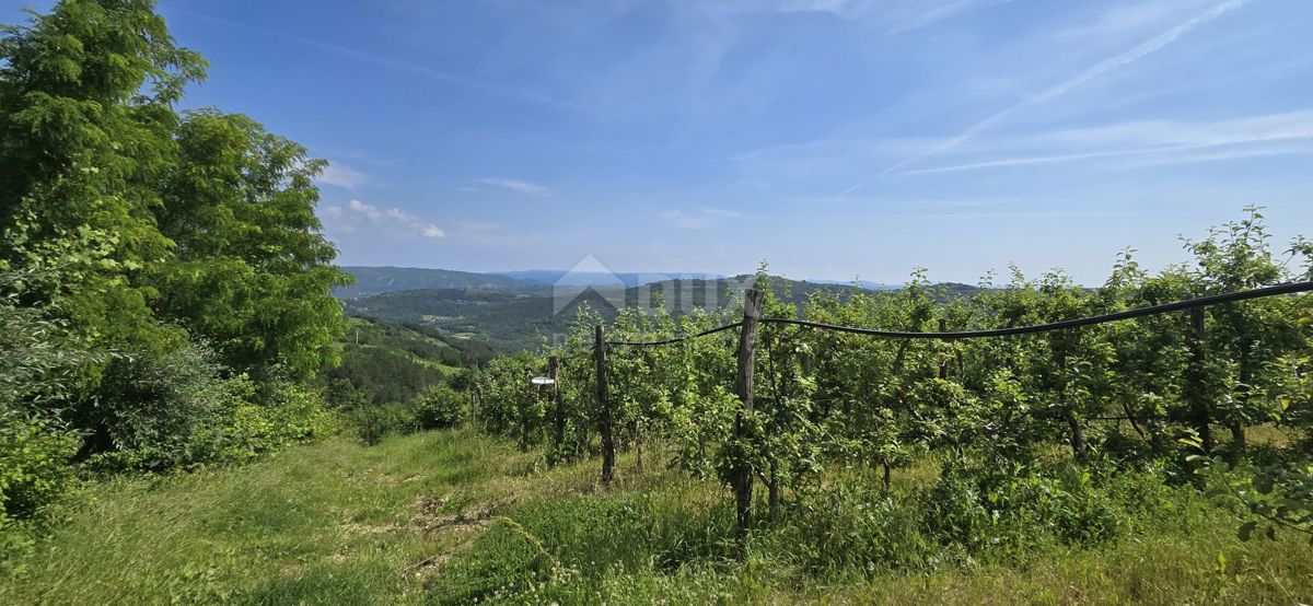 ISTRIA, MOTOVUN - Una terra magica con una vista panoramica mozzafiato! Osama!