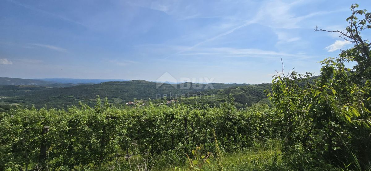 ISTRIA, MOTOVUN - Una terra magica con una vista panoramica mozzafiato! Osama!