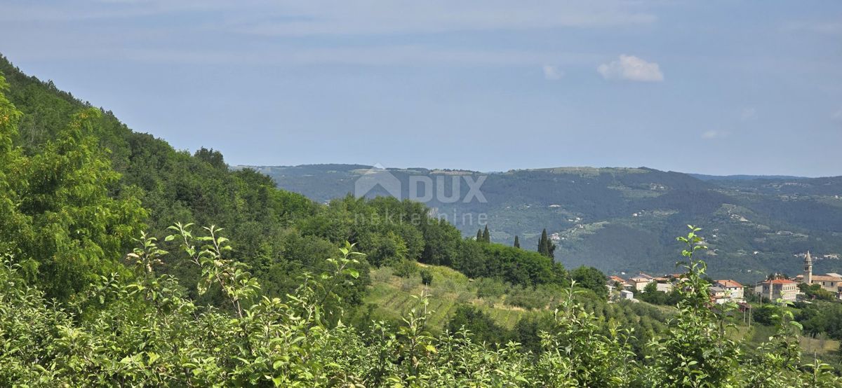 ISTRIA, MOTOVUN - Una terra magica con una vista panoramica mozzafiato! Osama!