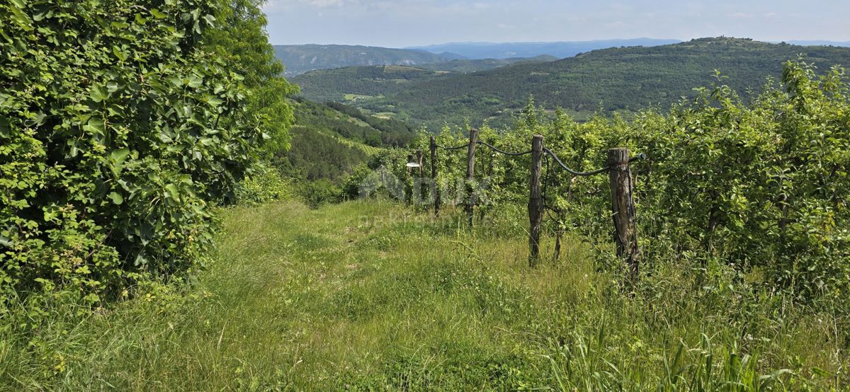 ISTRIA, MOTOVUN - Una terra magica con una vista panoramica mozzafiato! Osama!