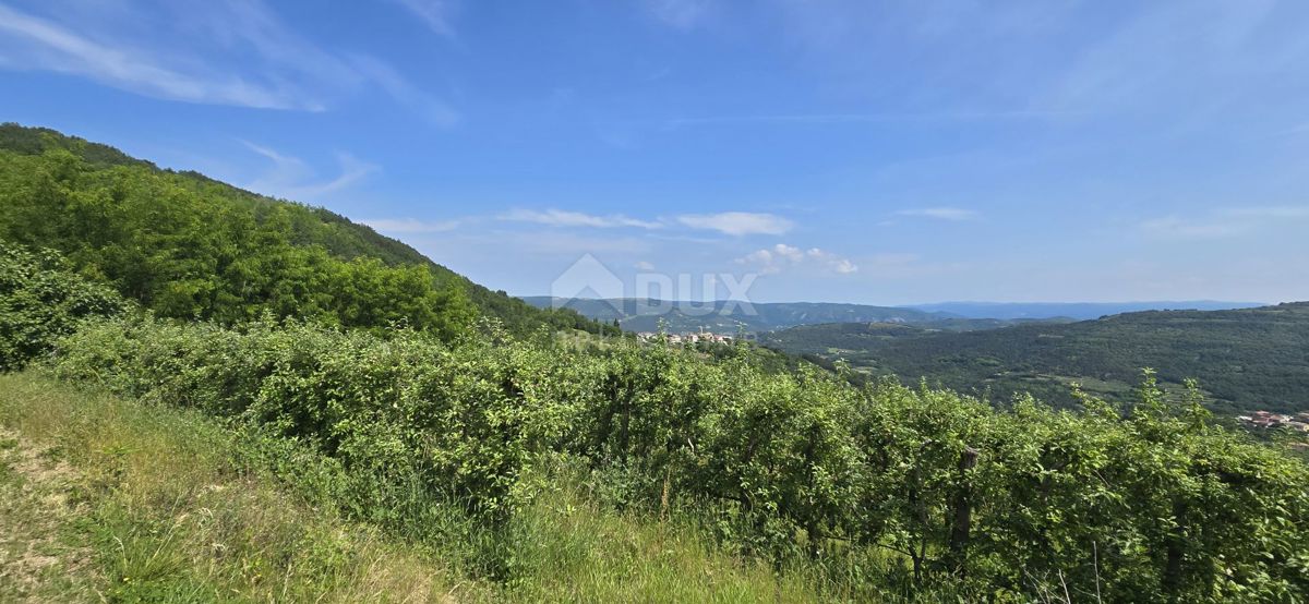 ISTRIA, MOTOVUN - Una terra magica con una vista panoramica mozzafiato! Osama!