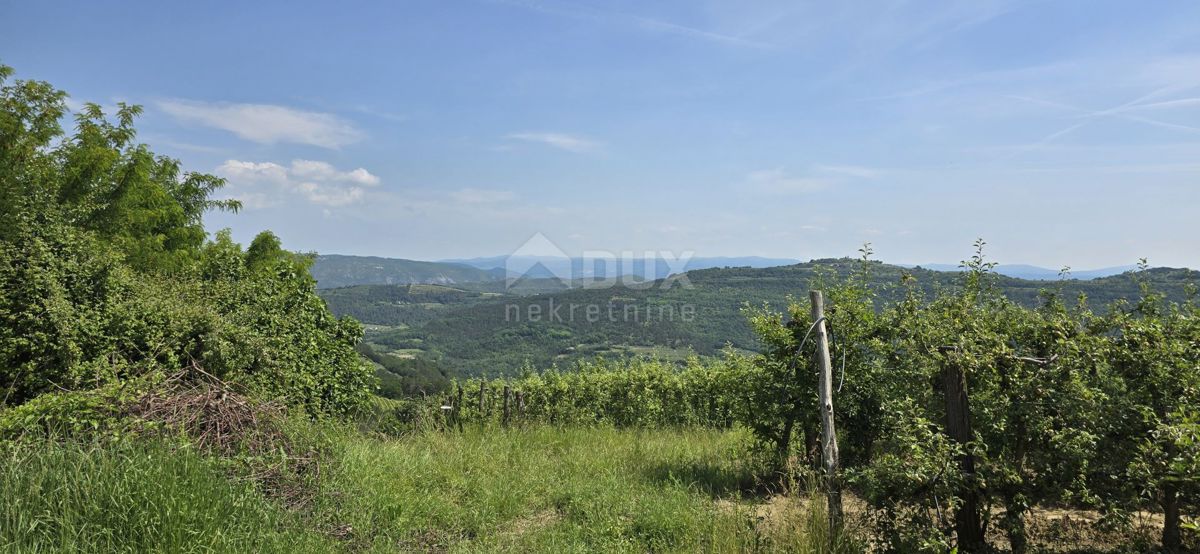 ISTRIA, MOTOVUN - Una terra magica con una vista panoramica mozzafiato! Osama!