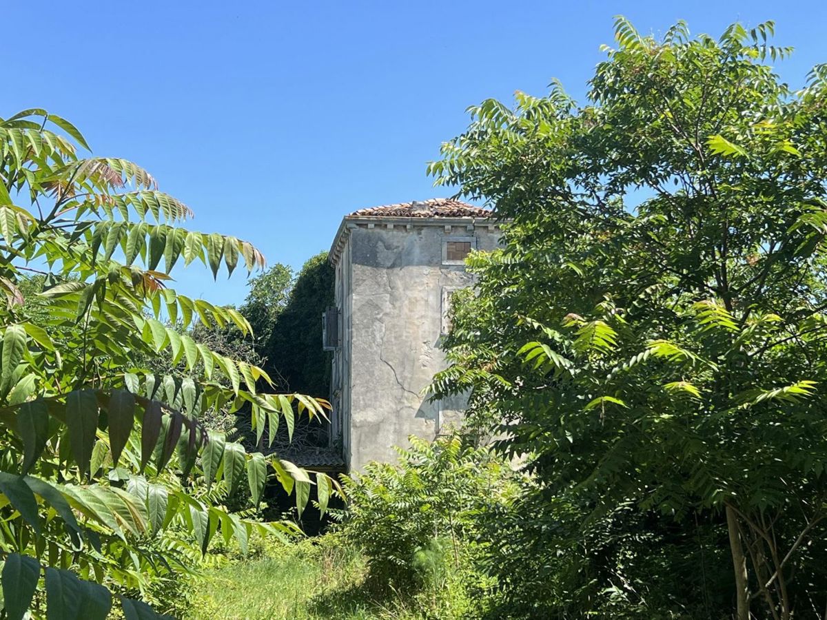 Casa Šišan, Ližnjan, 53m2