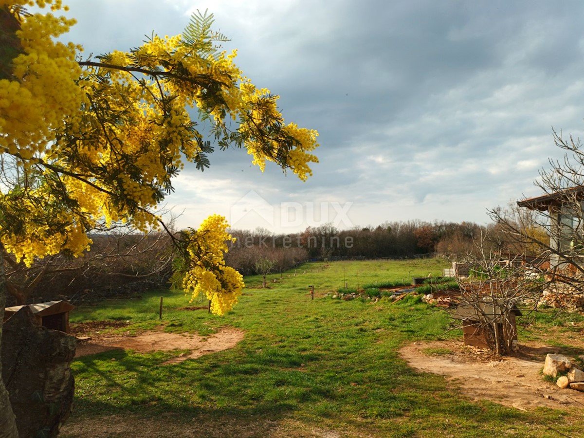 ISTRIA, MARČANA - Proprietà appartata