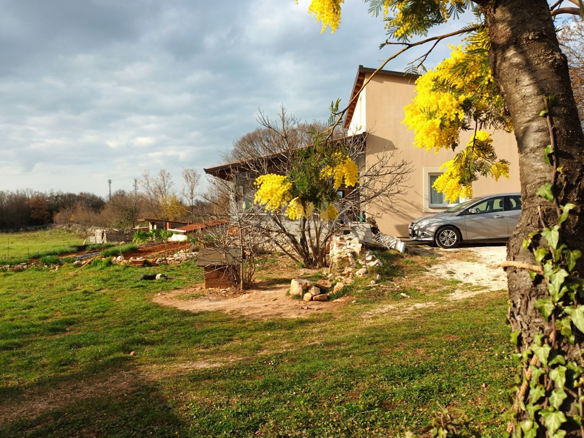 ISTRIA, MARČANA - Proprietà appartata