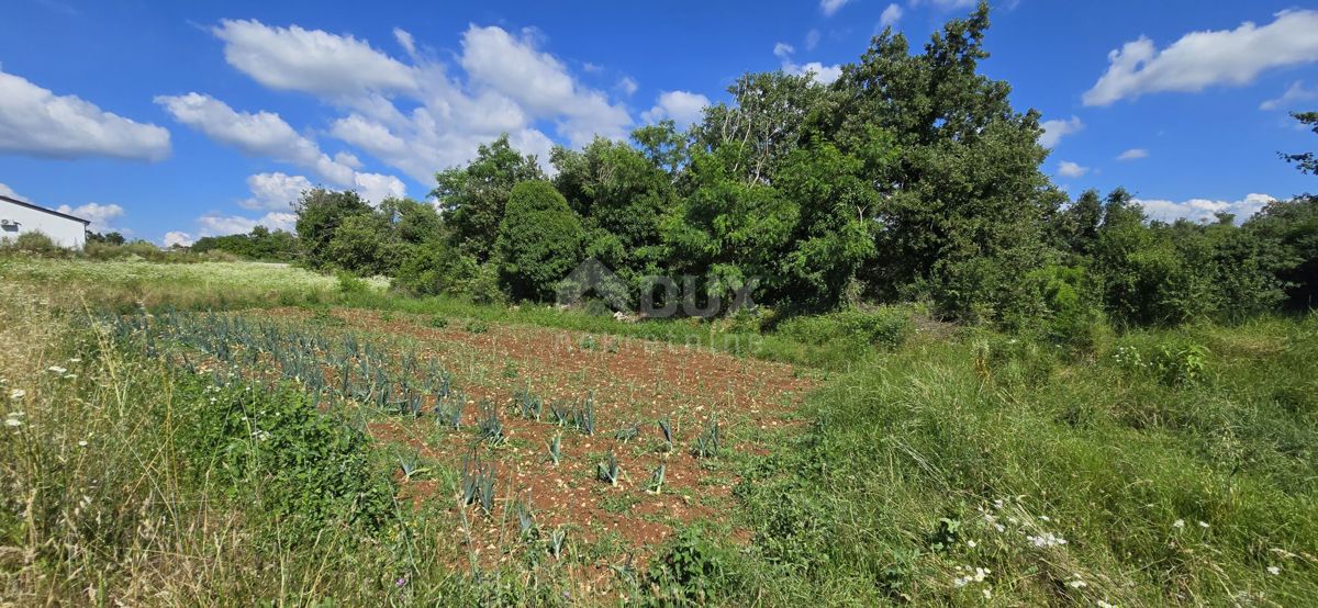 Terreno Tinjan, 1.598m2