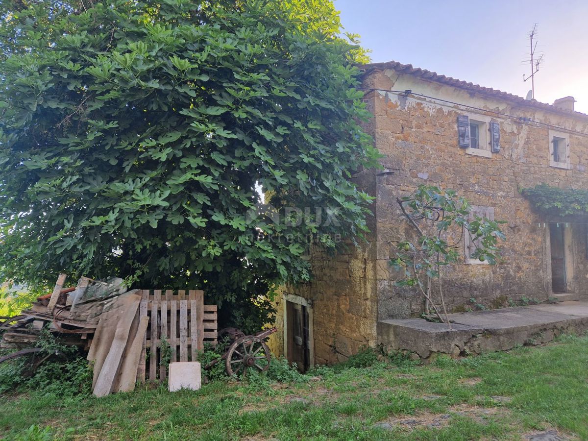 ISTRIA, LIVADE (dintorni) - Antichità in pietra con vista panoramica