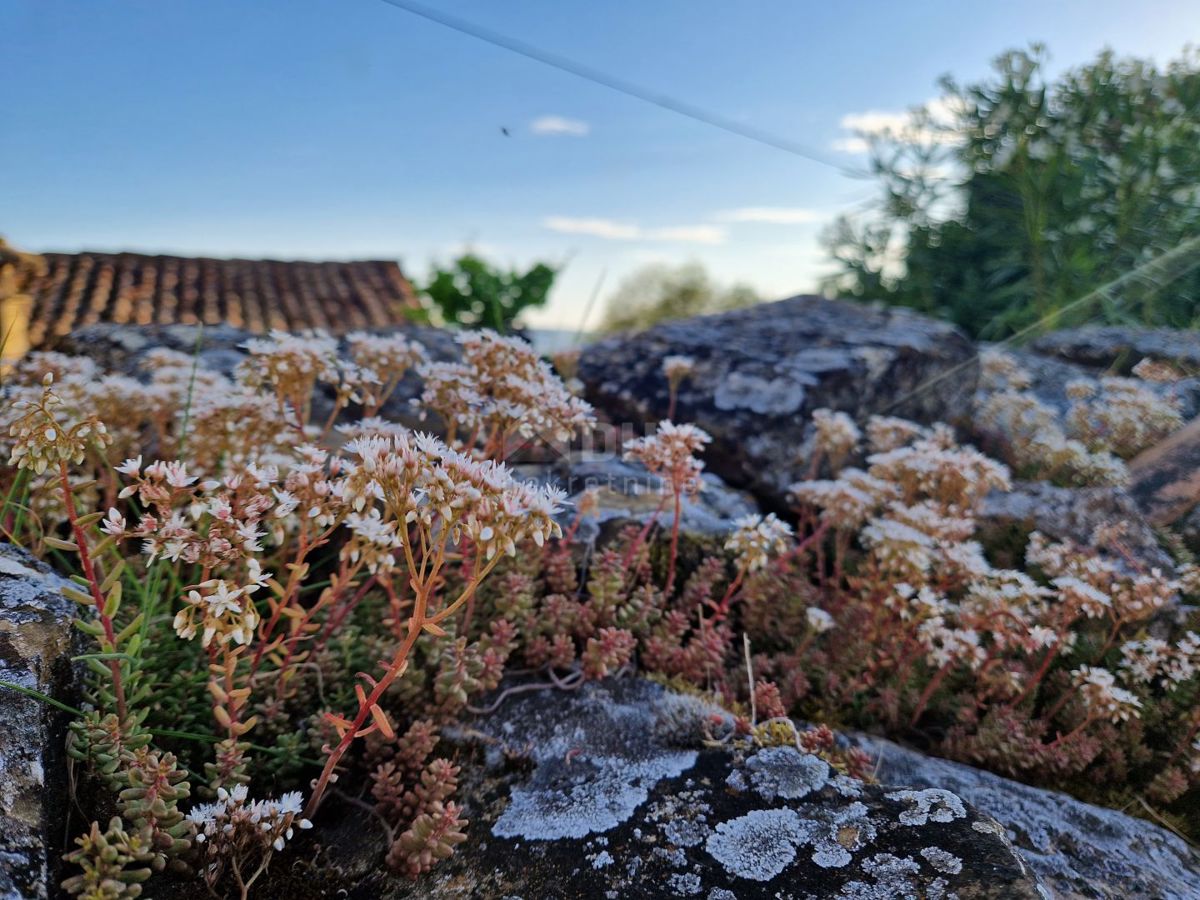 ISTRIA, LIVADE (dintorni) - Antichità in pietra con vista panoramica