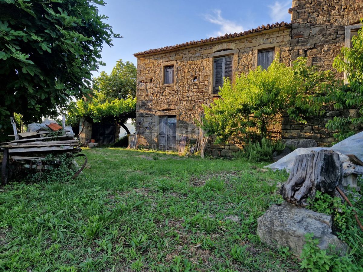 ISTRIA, LIVADE (dintorni) - Antichità in pietra con vista panoramica