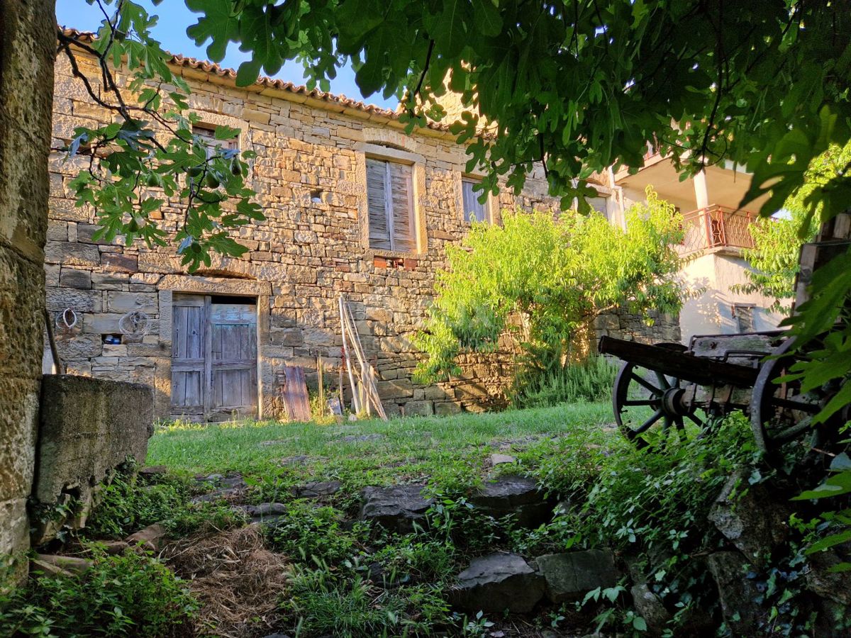 ISTRIA, LIVADE (dintorni) - Antichità in pietra con vista panoramica