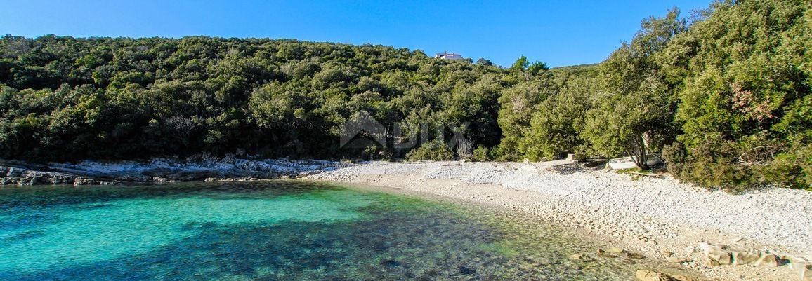 ISTRIA, KAVRAN - Bosco in una posizione interessante e attraente