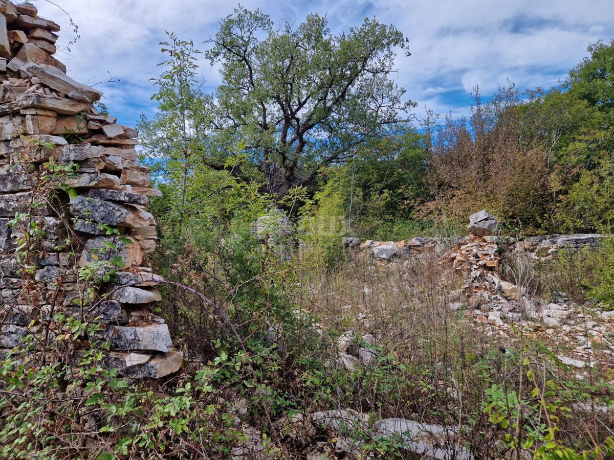 ISTRIA, SVETVINČENAT - Ampio terreno con fabbricato diroccato