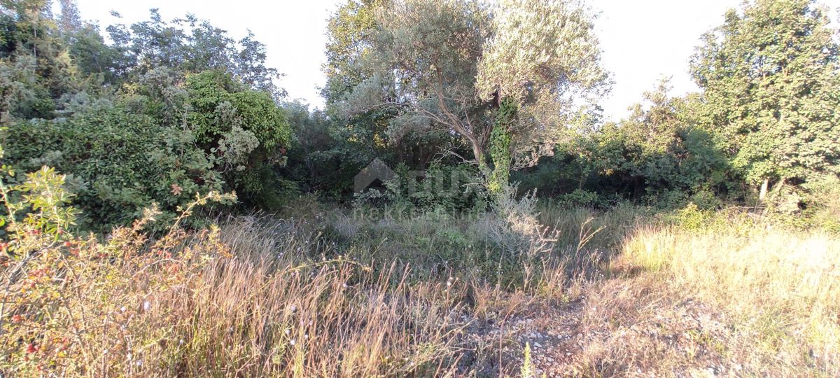 ISTRIA, MEDULINO - Ampio terreno edificabile!