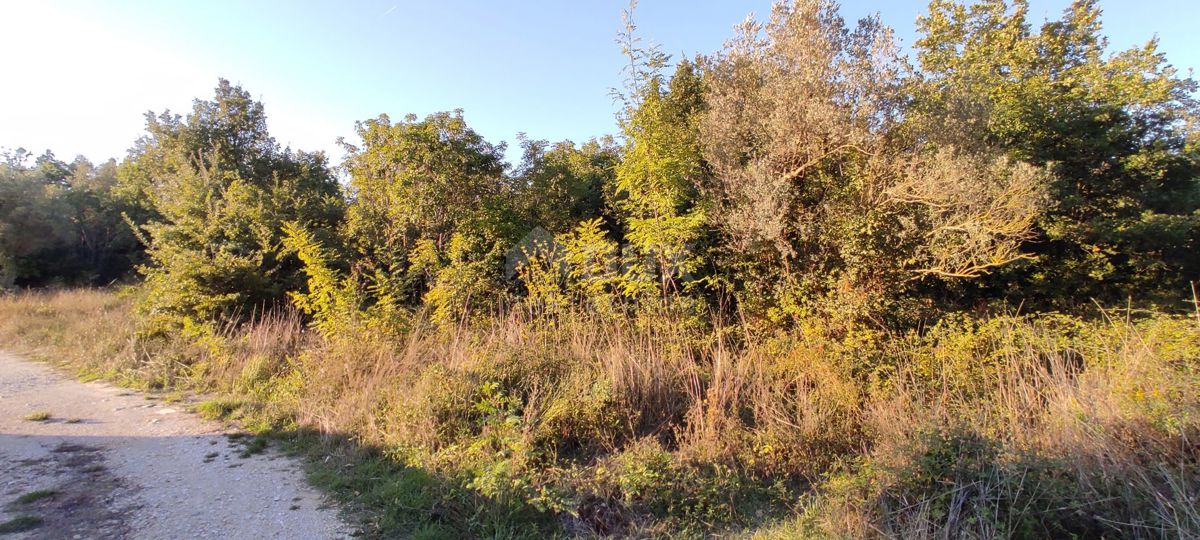 ISTRIA, MEDULINO - Ampio terreno edificabile!