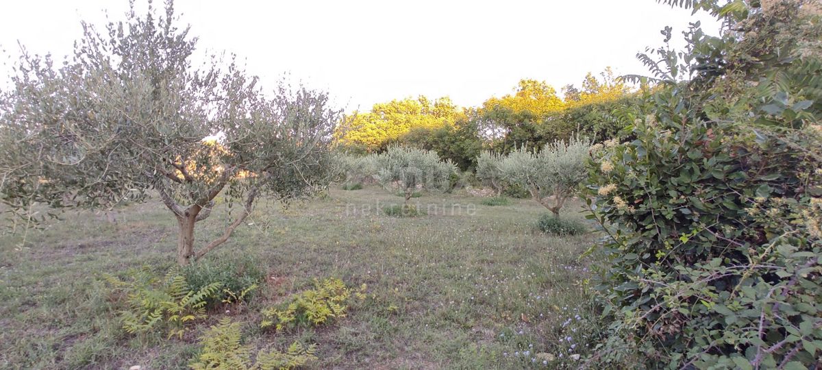 ISTRIA, MEDULINO - Ampio terreno edificabile!